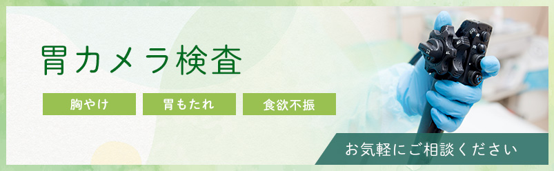 胃カメラ検査