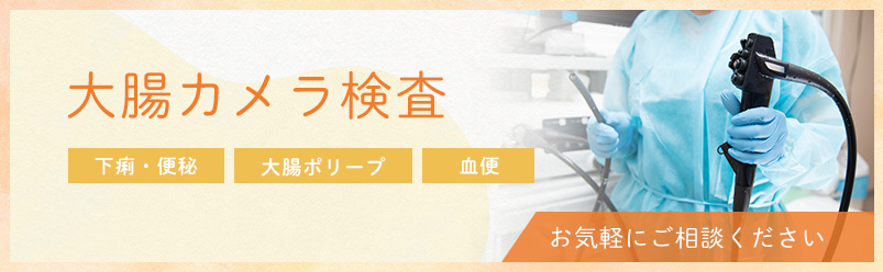 大腸カメラ検査