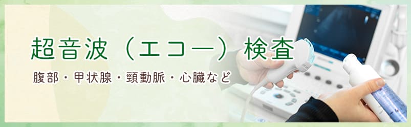 腹部、甲状腺、心臓、肝機能などの検査可能。気になる箇所は超音波検査で調べましょう