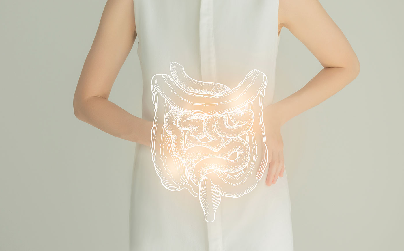 大腸カメラ検査